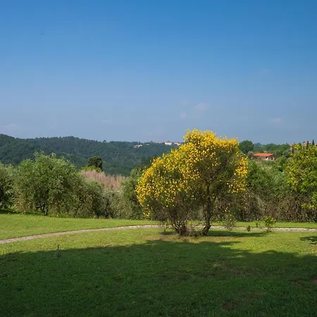 Romantic With Terrace And Shared Pool Casa vacanze